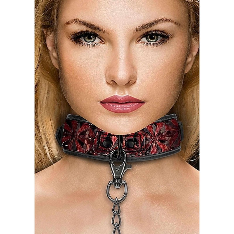 Luxury Collar with Leash - Burgundy